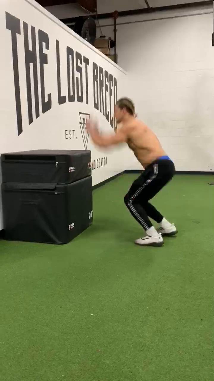 Jump Training (Increase Vertical)