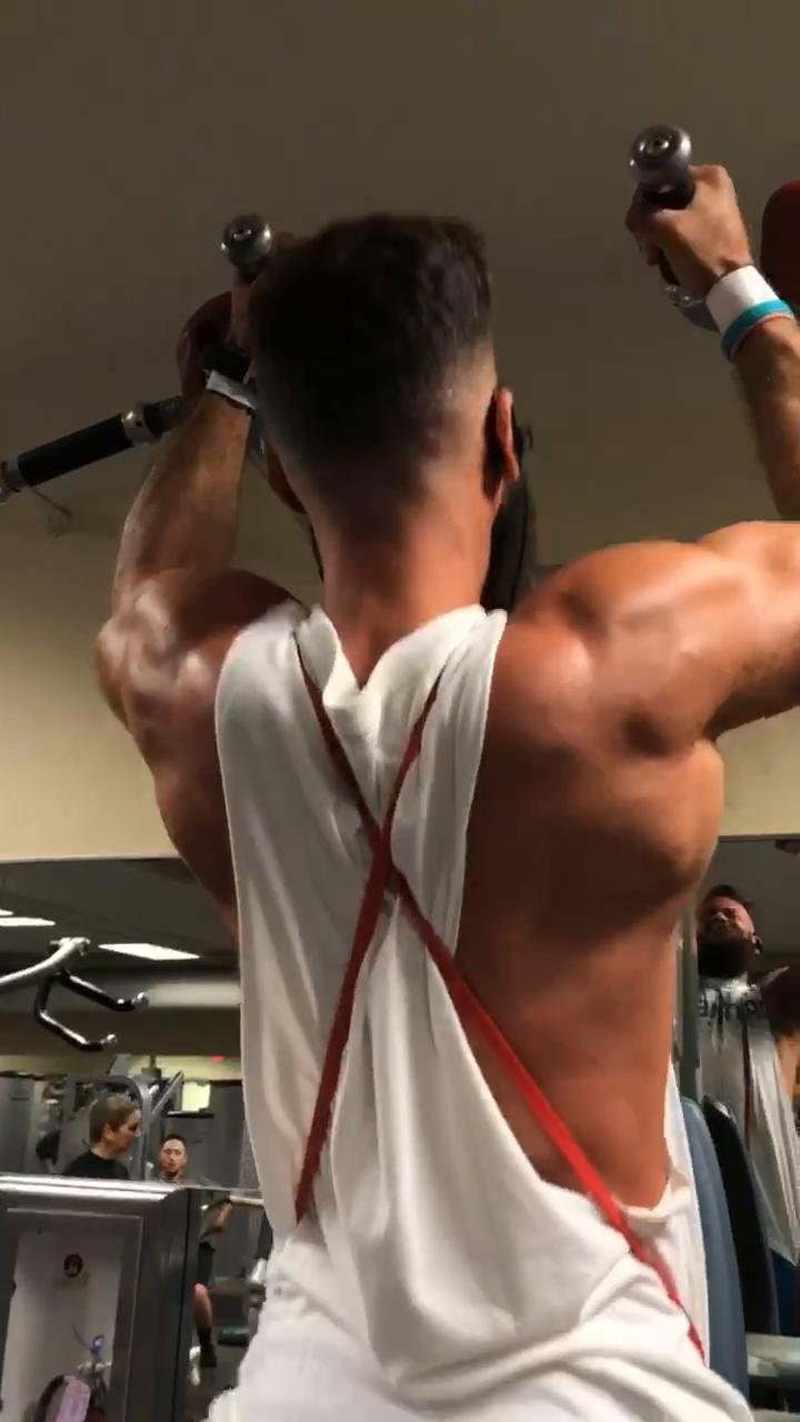 Back Workout (Shred)