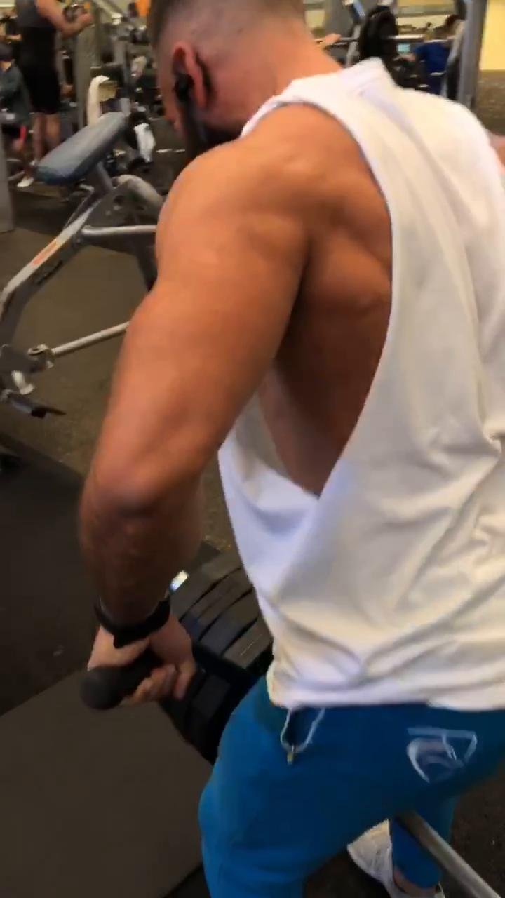 Back Workout (Shred)