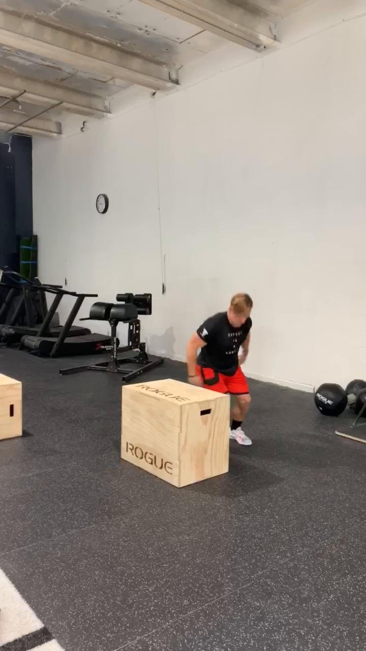 Week 1 - Day 2