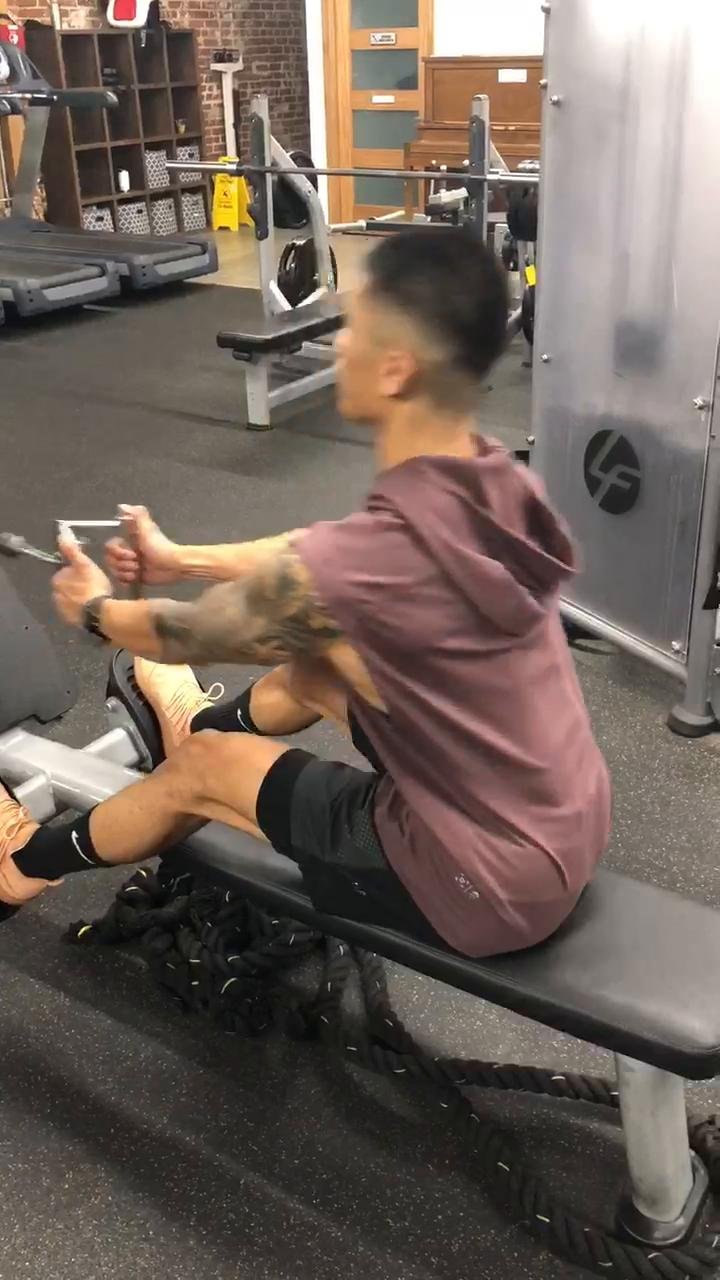 Shoulders, biceps and triceps