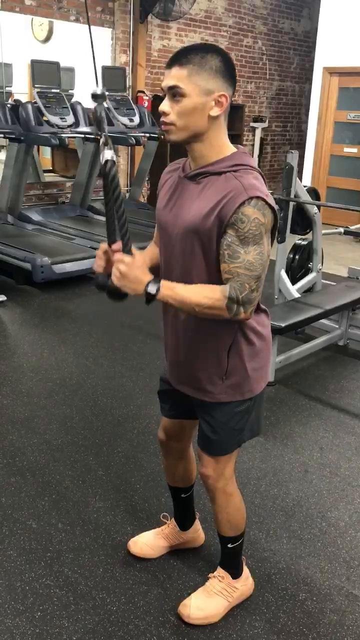 Shoulders, biceps and triceps