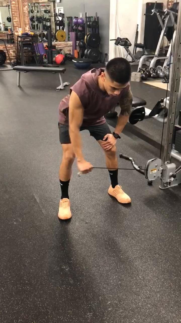 Shoulders, biceps and triceps