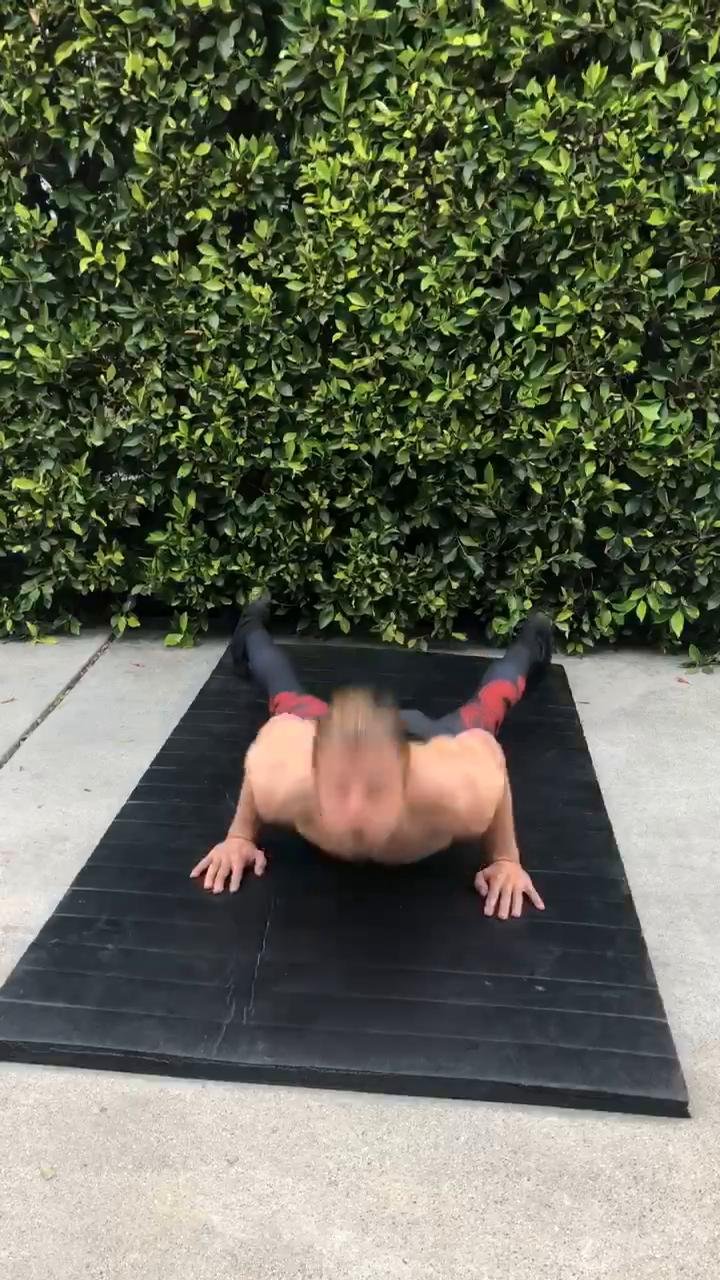 Animal Mobility