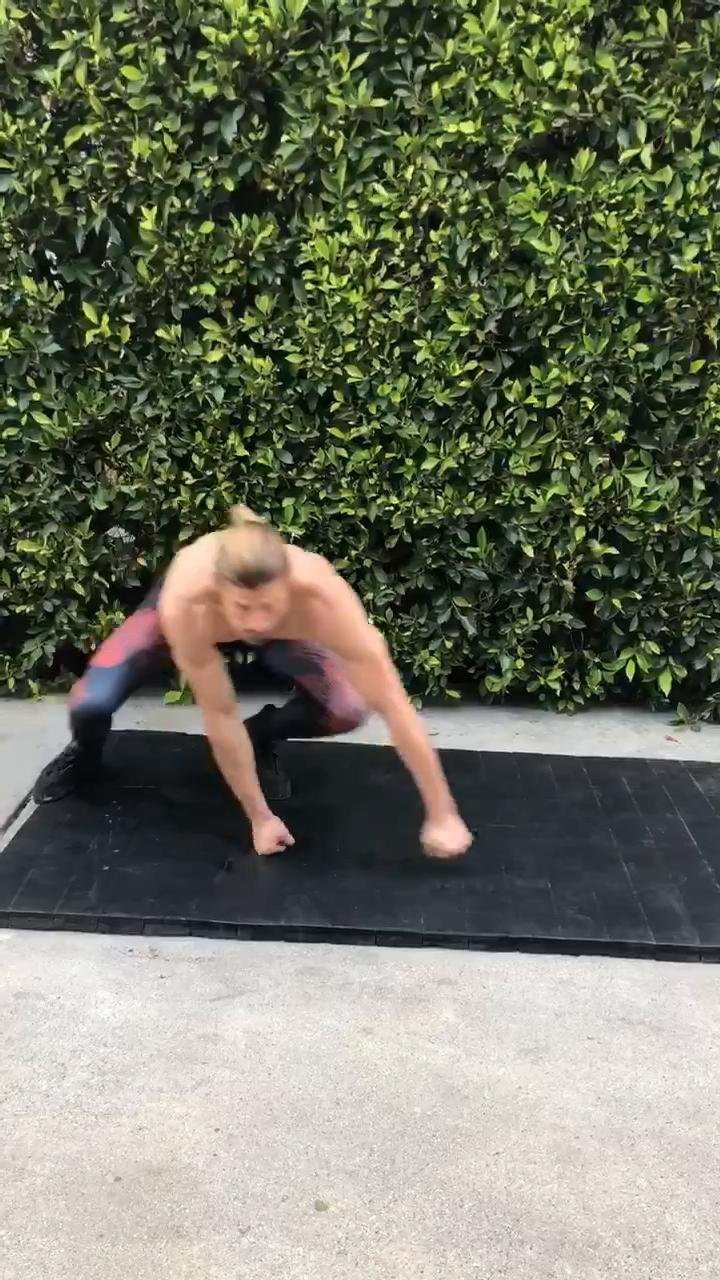 Animal Mobility