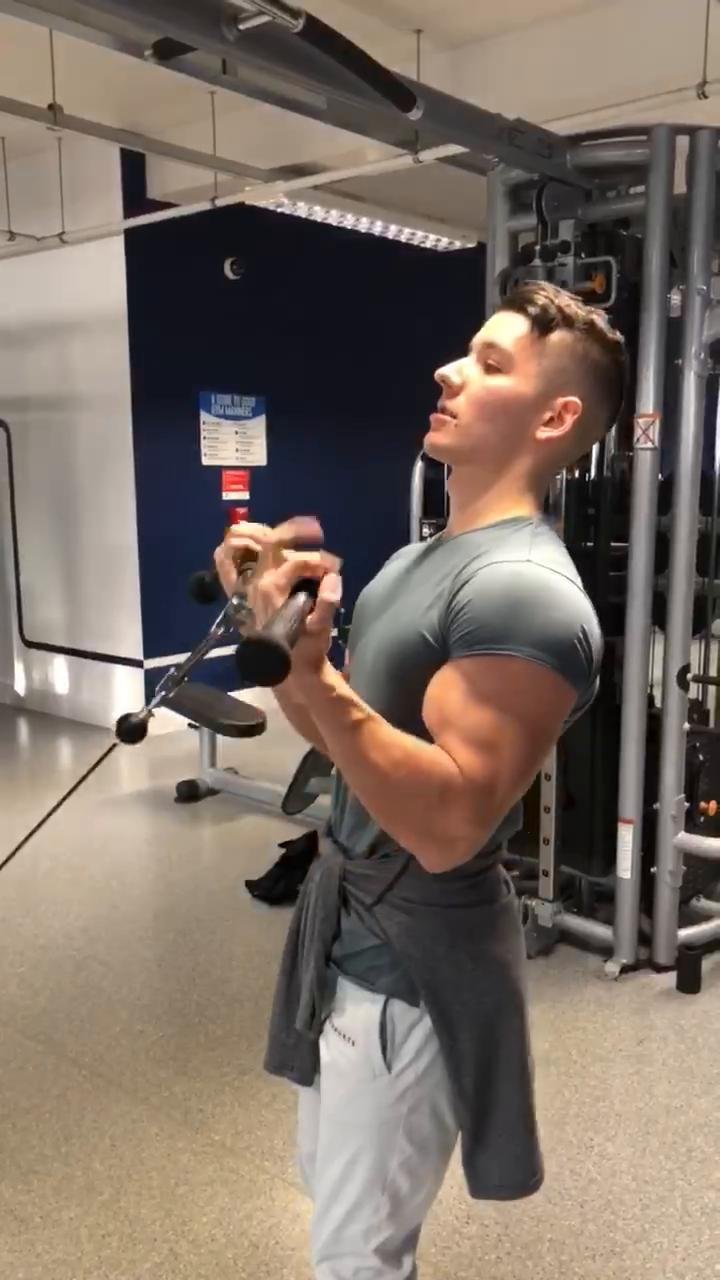 Arms