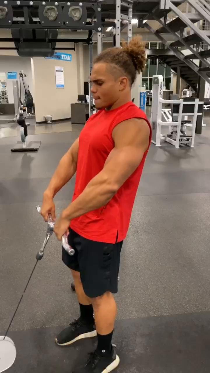 Week 1/ Day 4 (Shoulders)