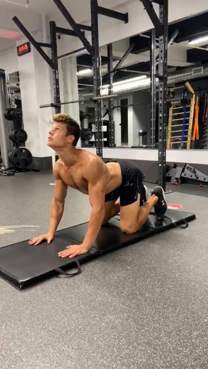 Chest, shoulders and triceps