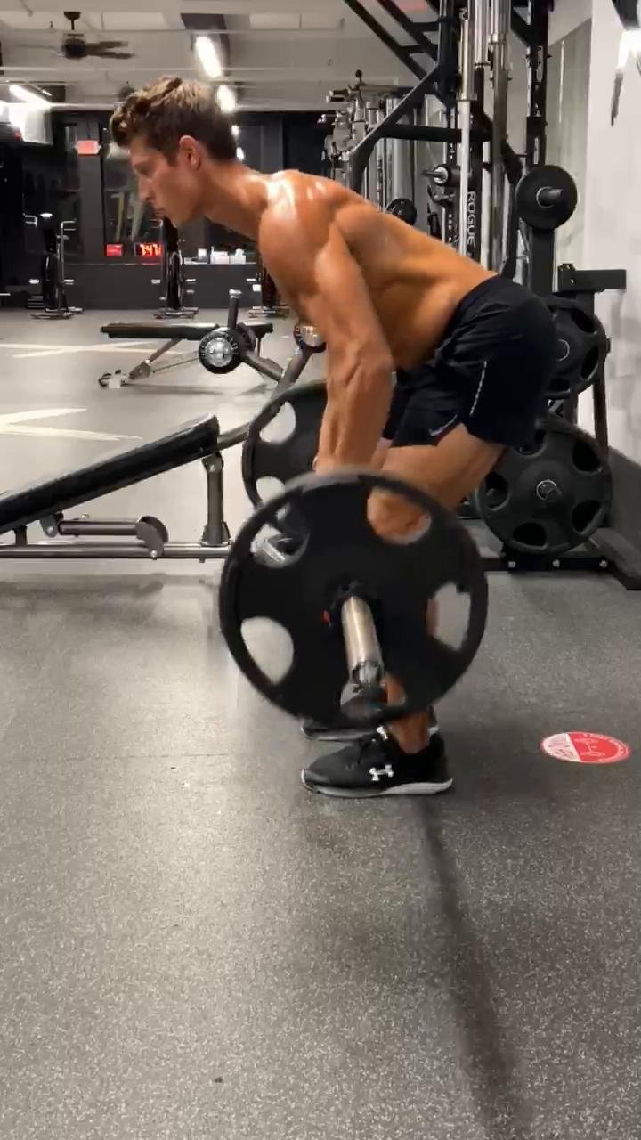 Back and biceps