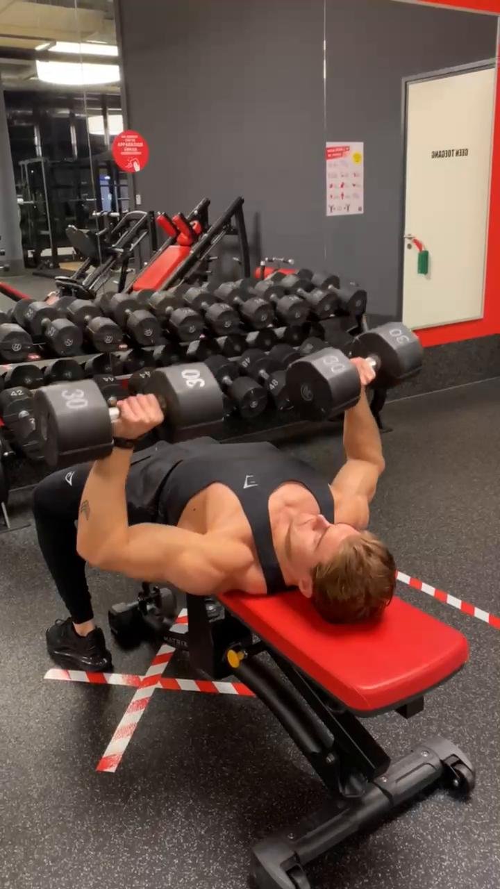 Chest / Shoulders / Triceps