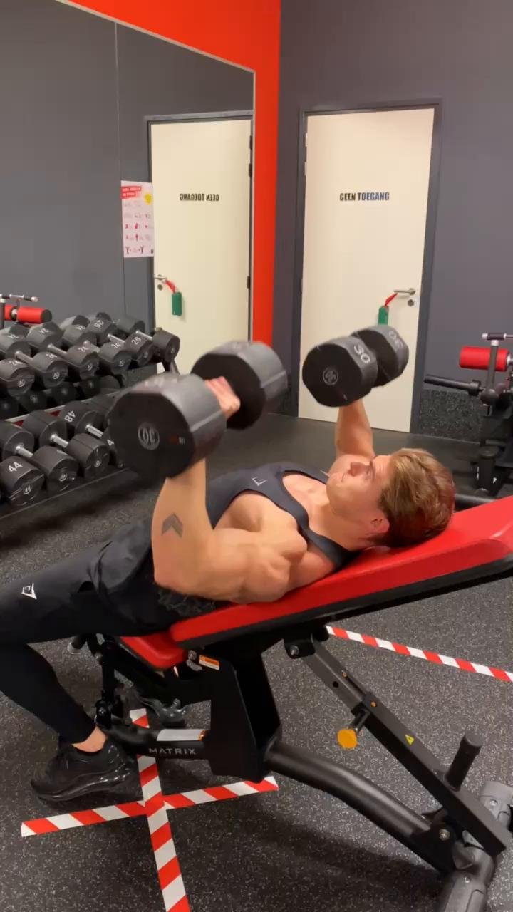 Chest / Shoulders / Arms