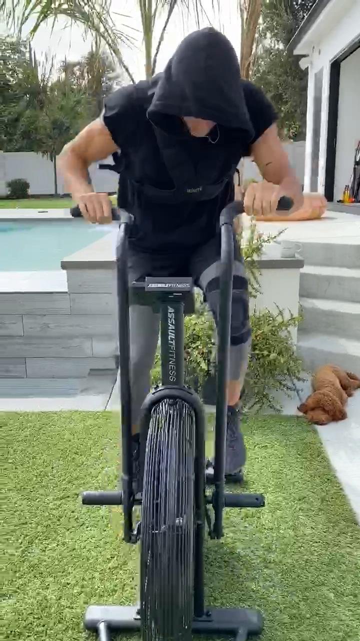 Shoulders, chest , back