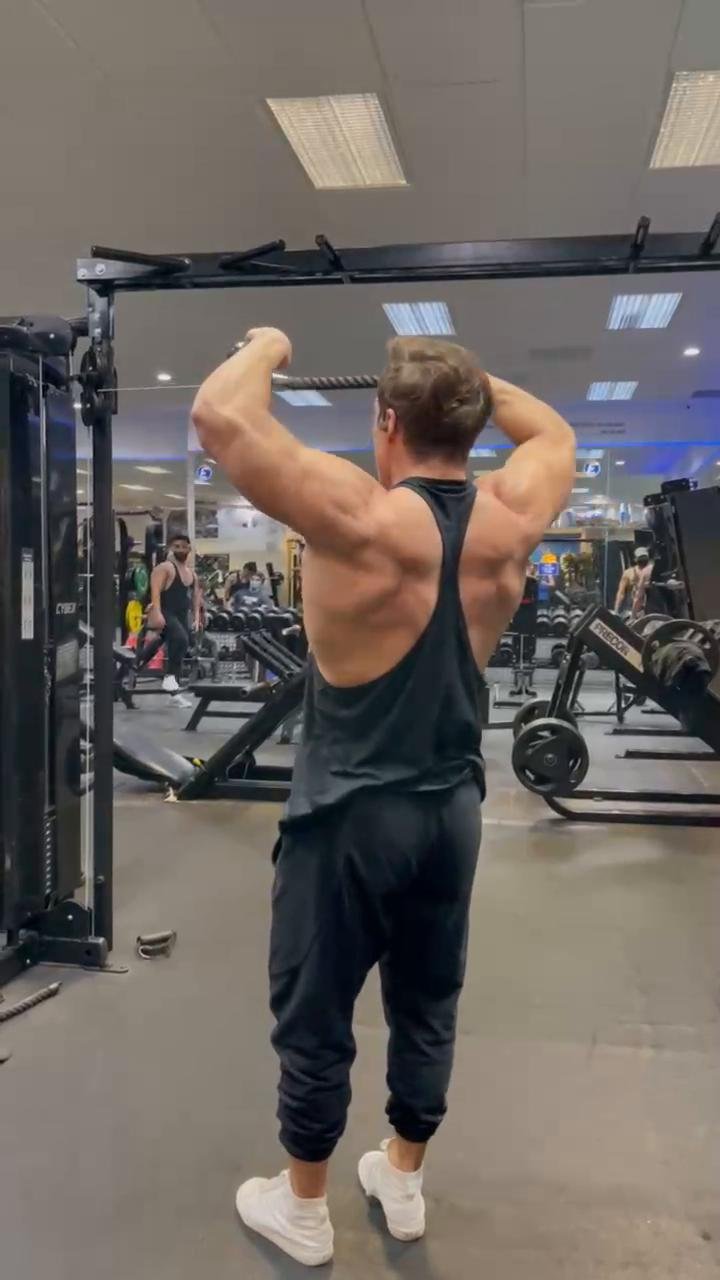 Back and Rear Delts