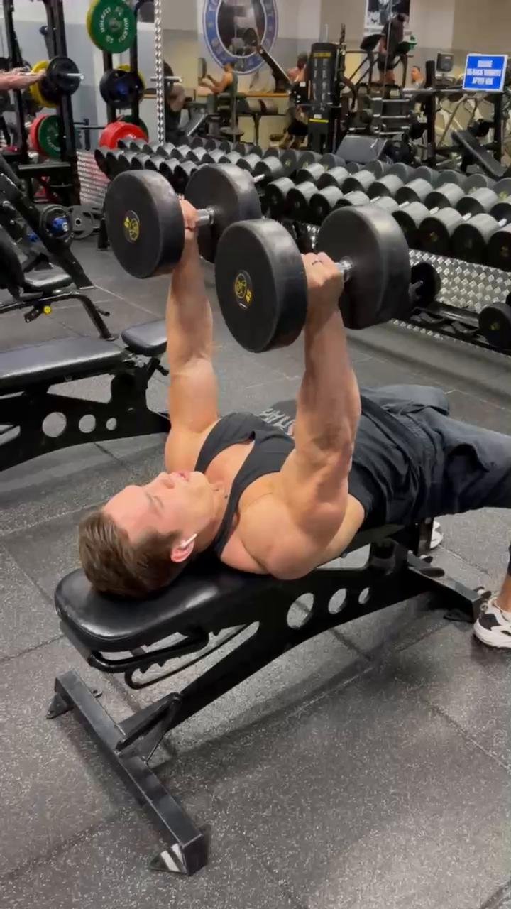 Chest