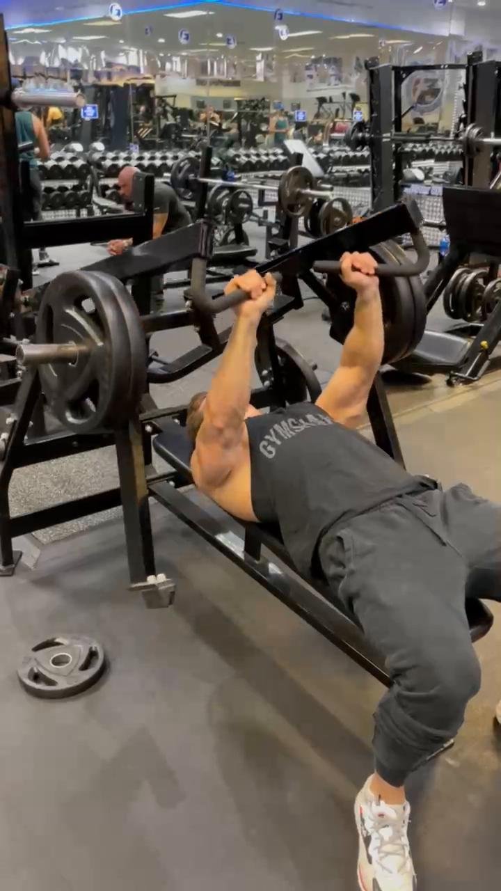 Chest