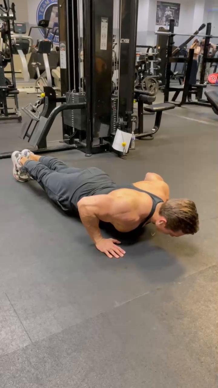 Chest