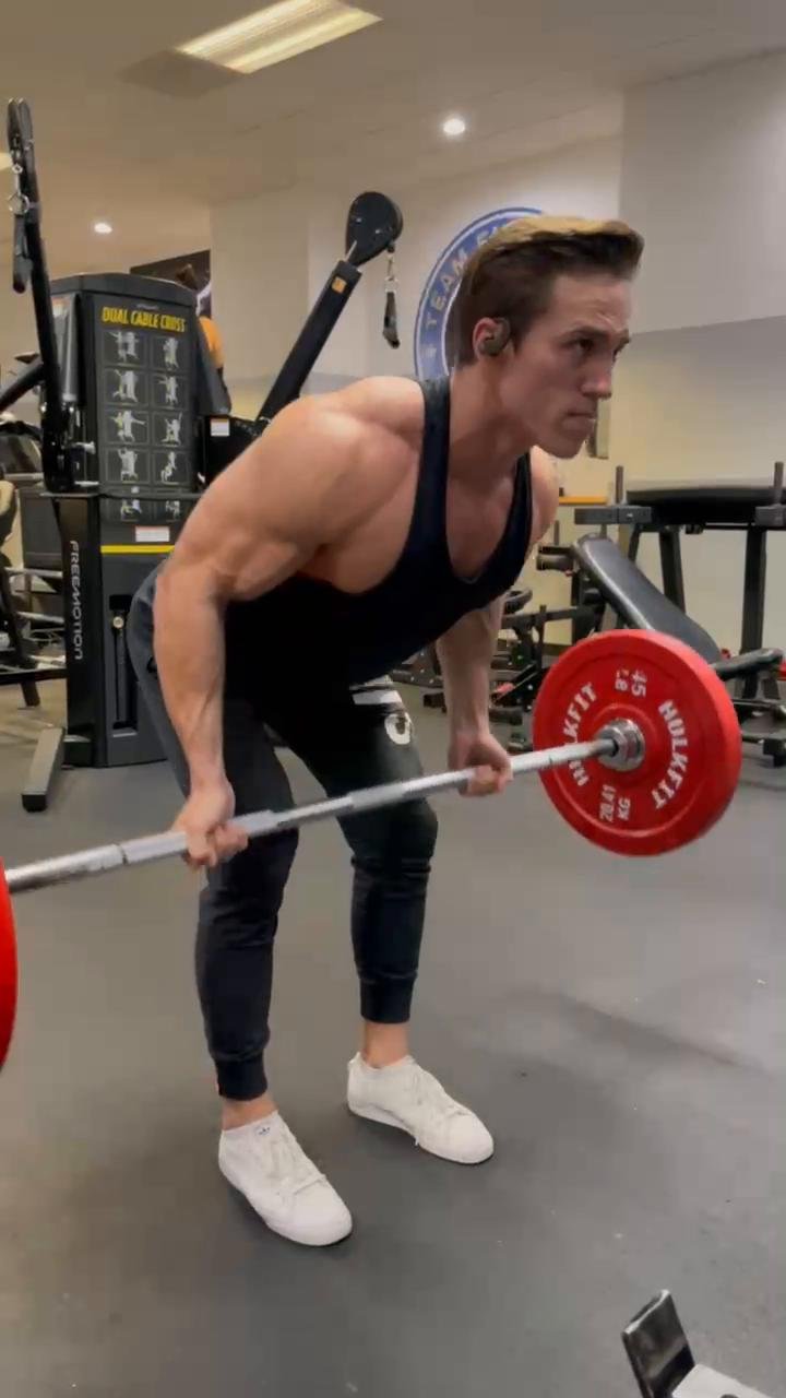 Back & Rear delts