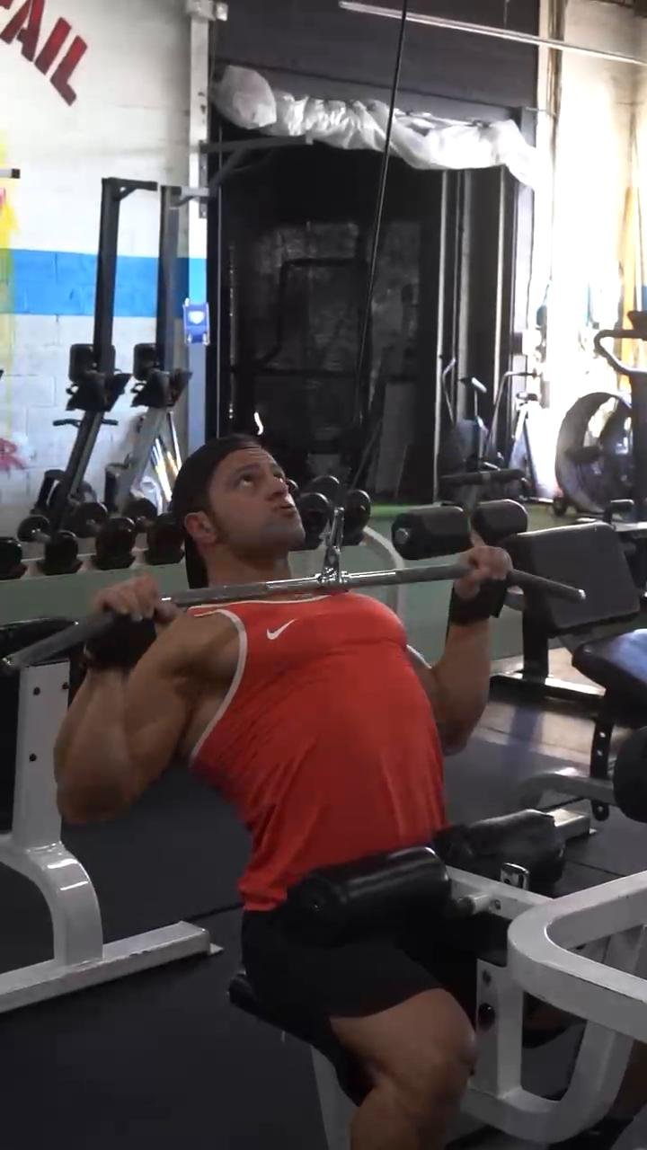 Back, delts & traps