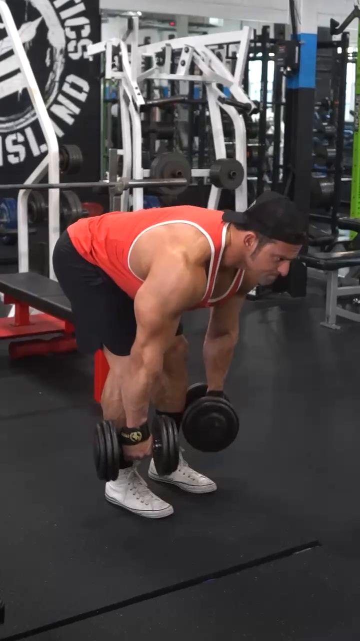 Back & biceps