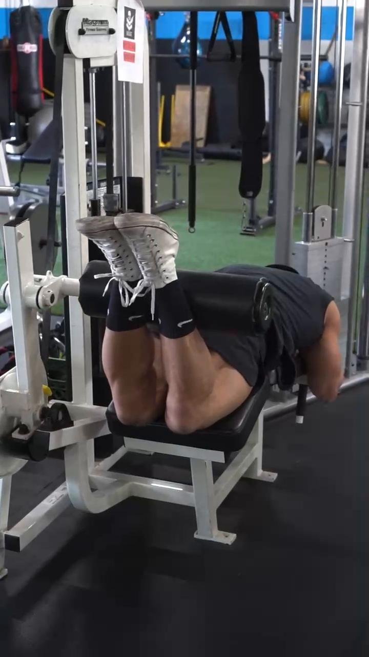 Hamstrings/Glutes/Quads