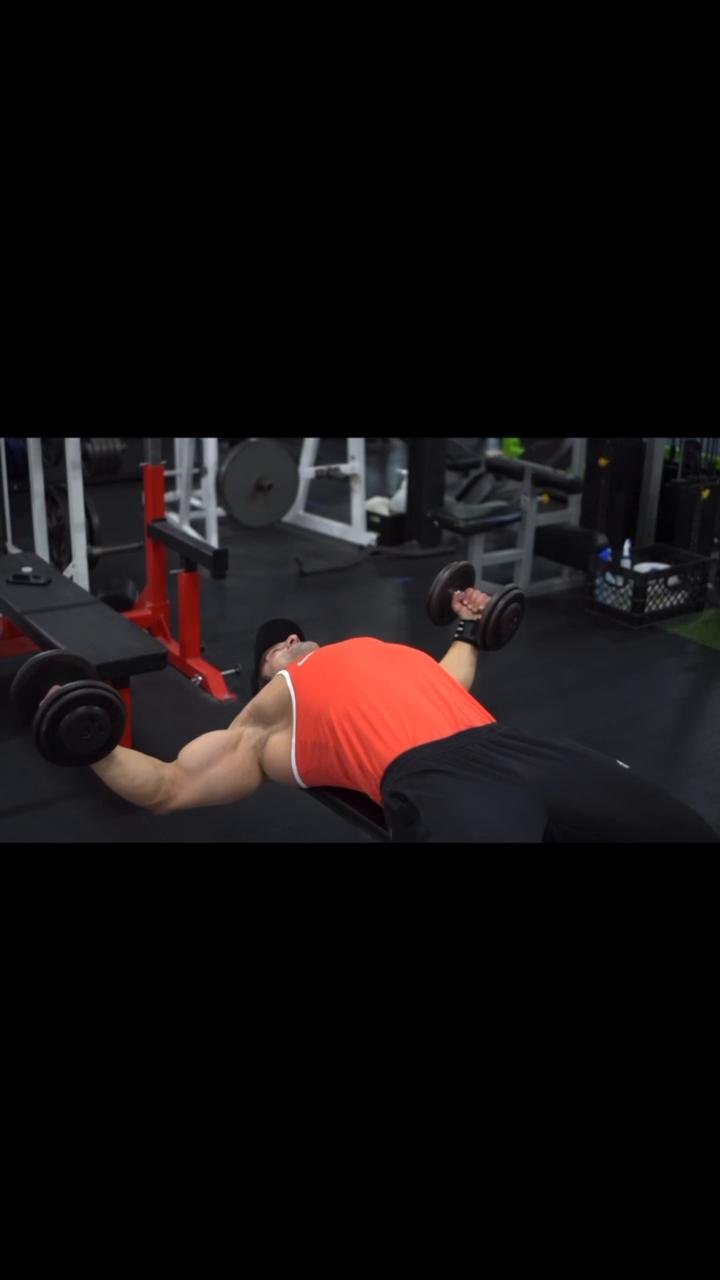 Lower Back/Chest/Rear Delts