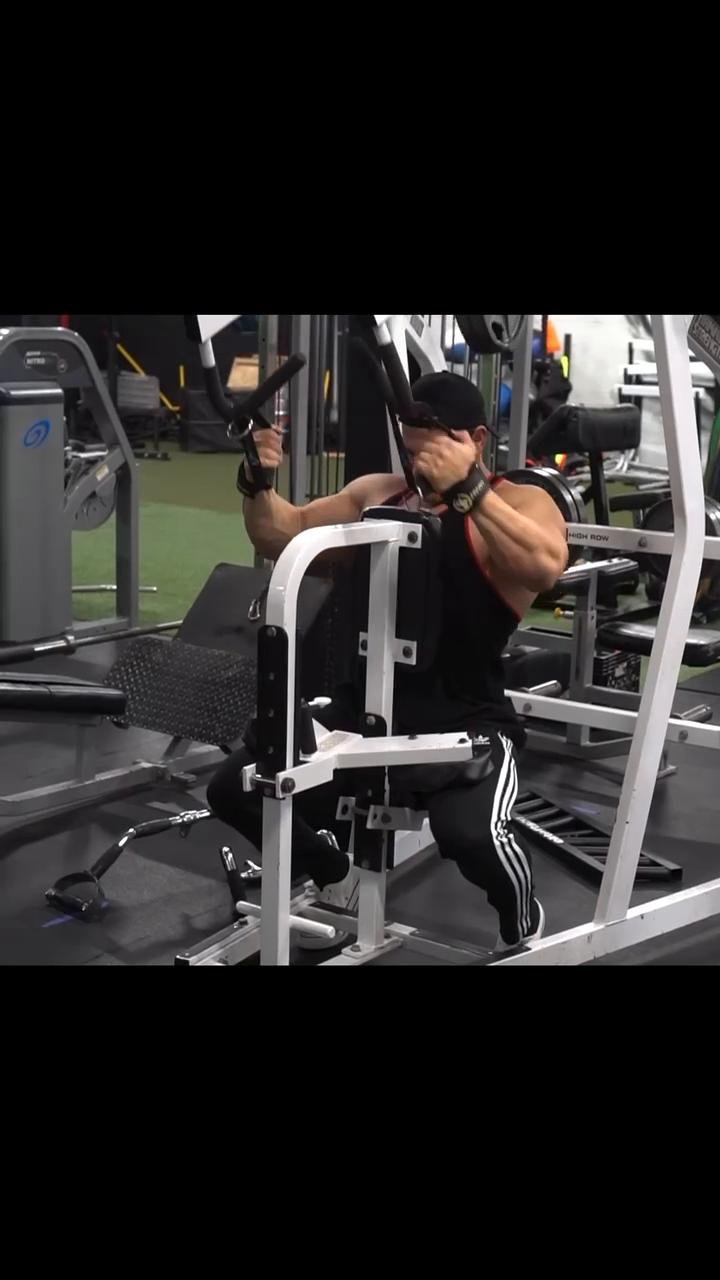 Back & rear delts