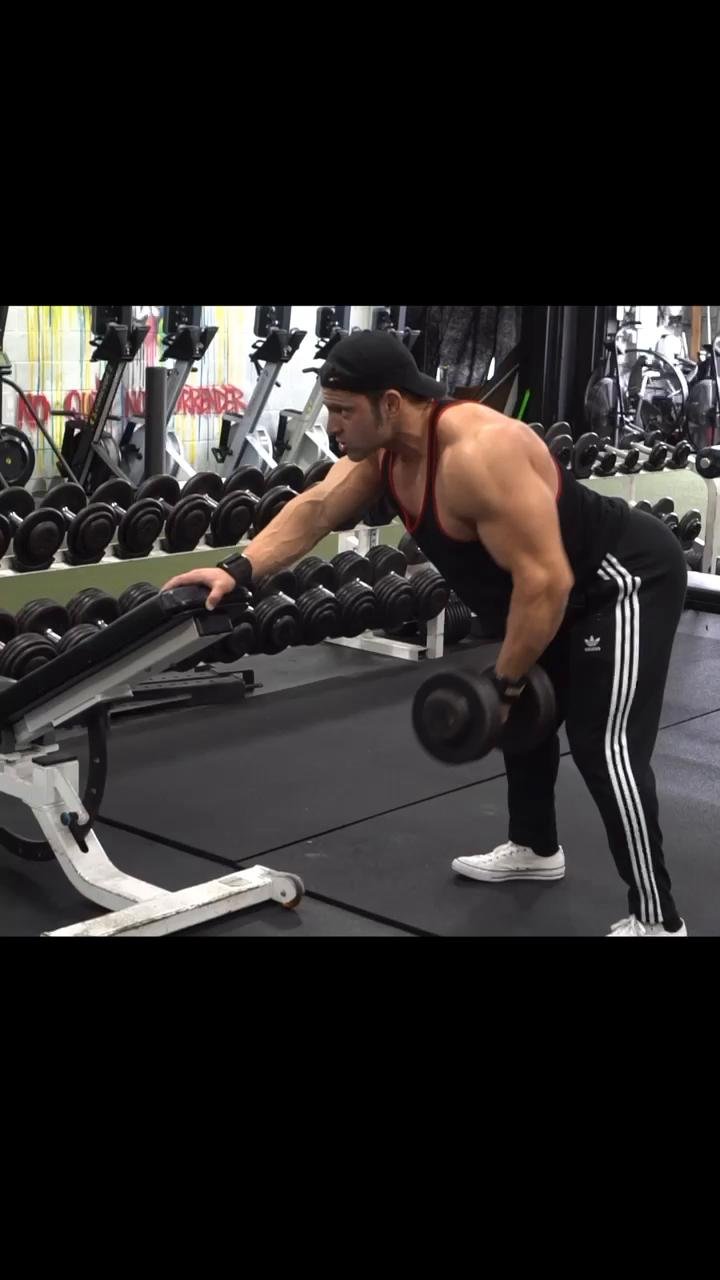 Back, delts & traps
