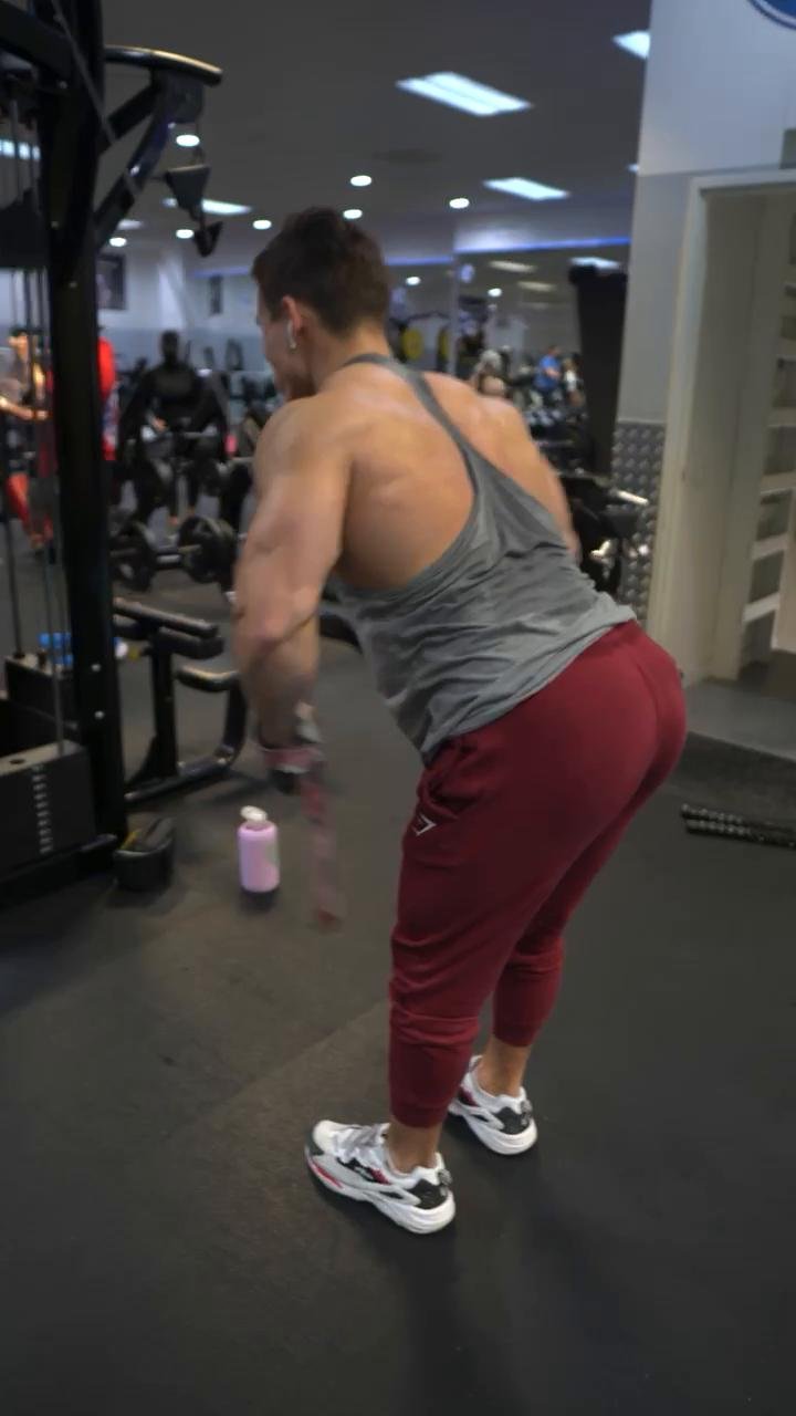 Back and Rear Delts