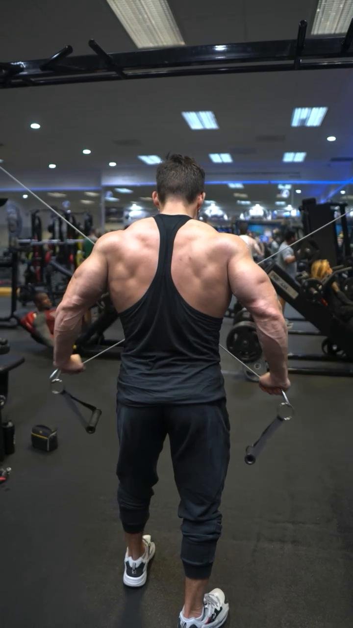 Biceps/Triceps