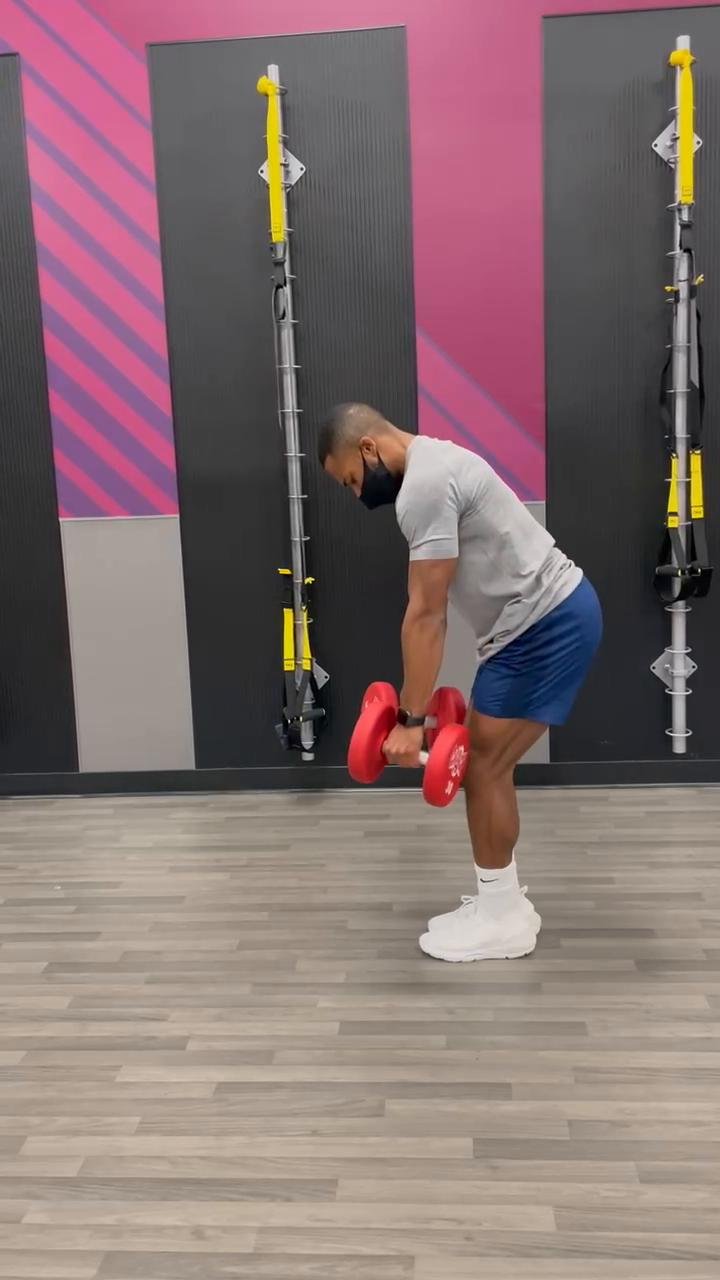 Day 2 // Dumbbell Back Workouts