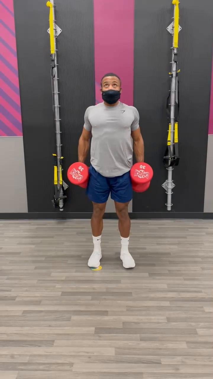 Day 2 // Dumbbell Back Workouts