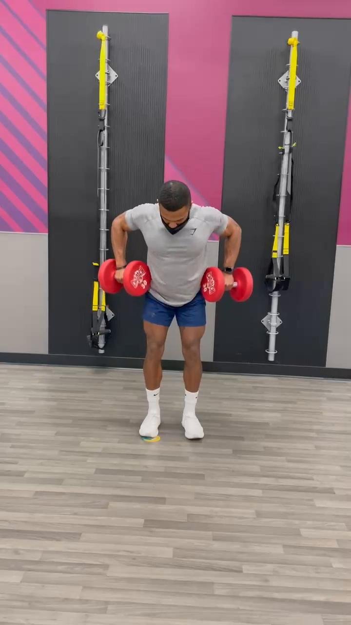 Day 2 // Dumbbell Back Workouts