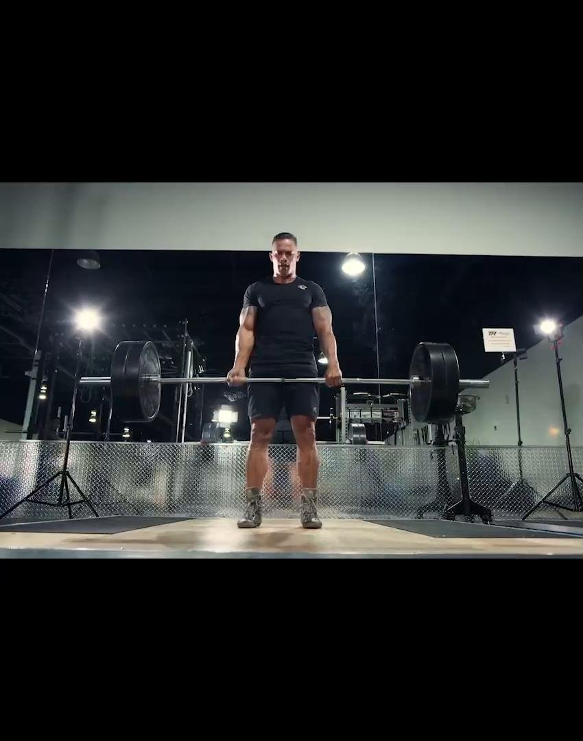 Day 3  Pull & biceps