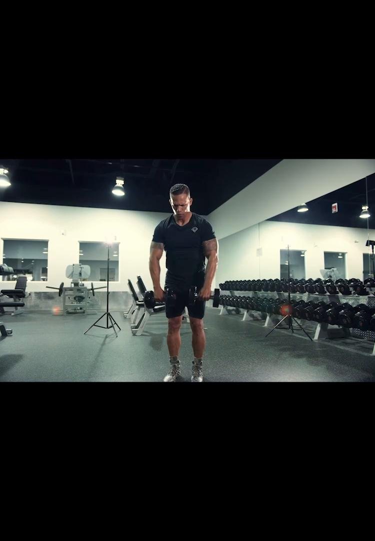 Day 3  Pull & biceps