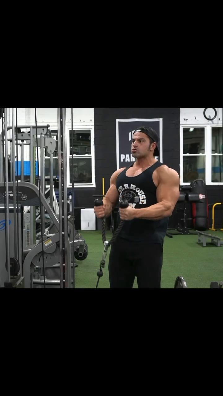 Shoulders & Biceps