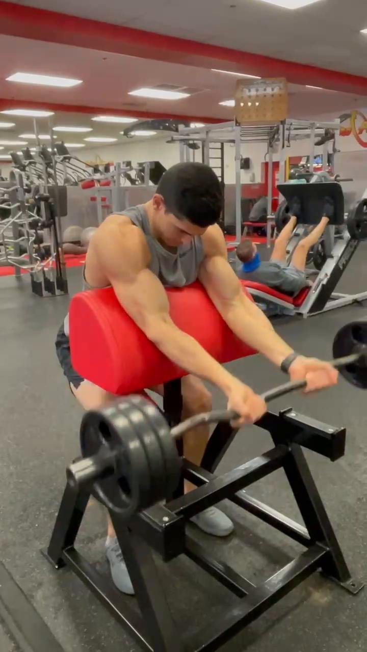 Arms & Abs