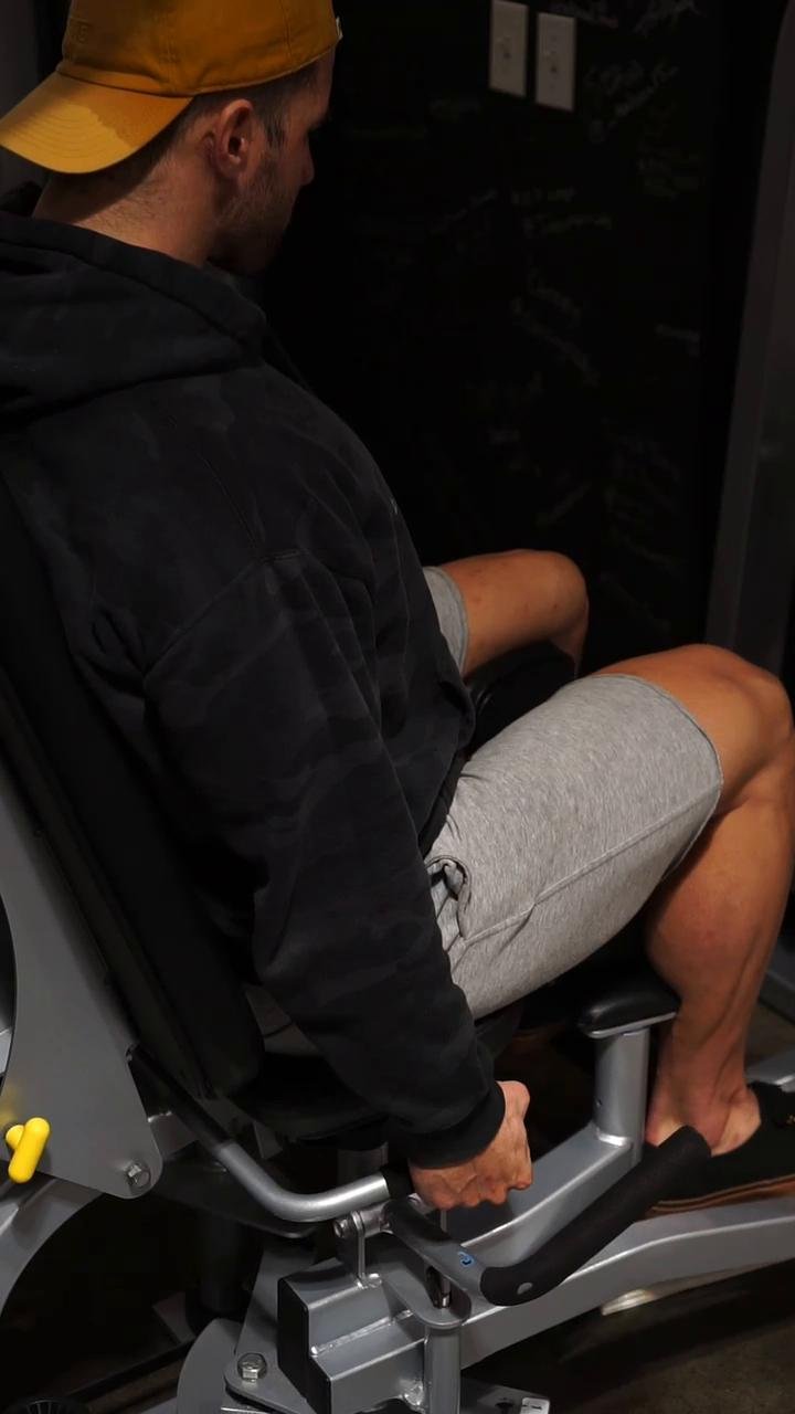 Quads/Adductors/Abductors (DAY 1 - 11/28)