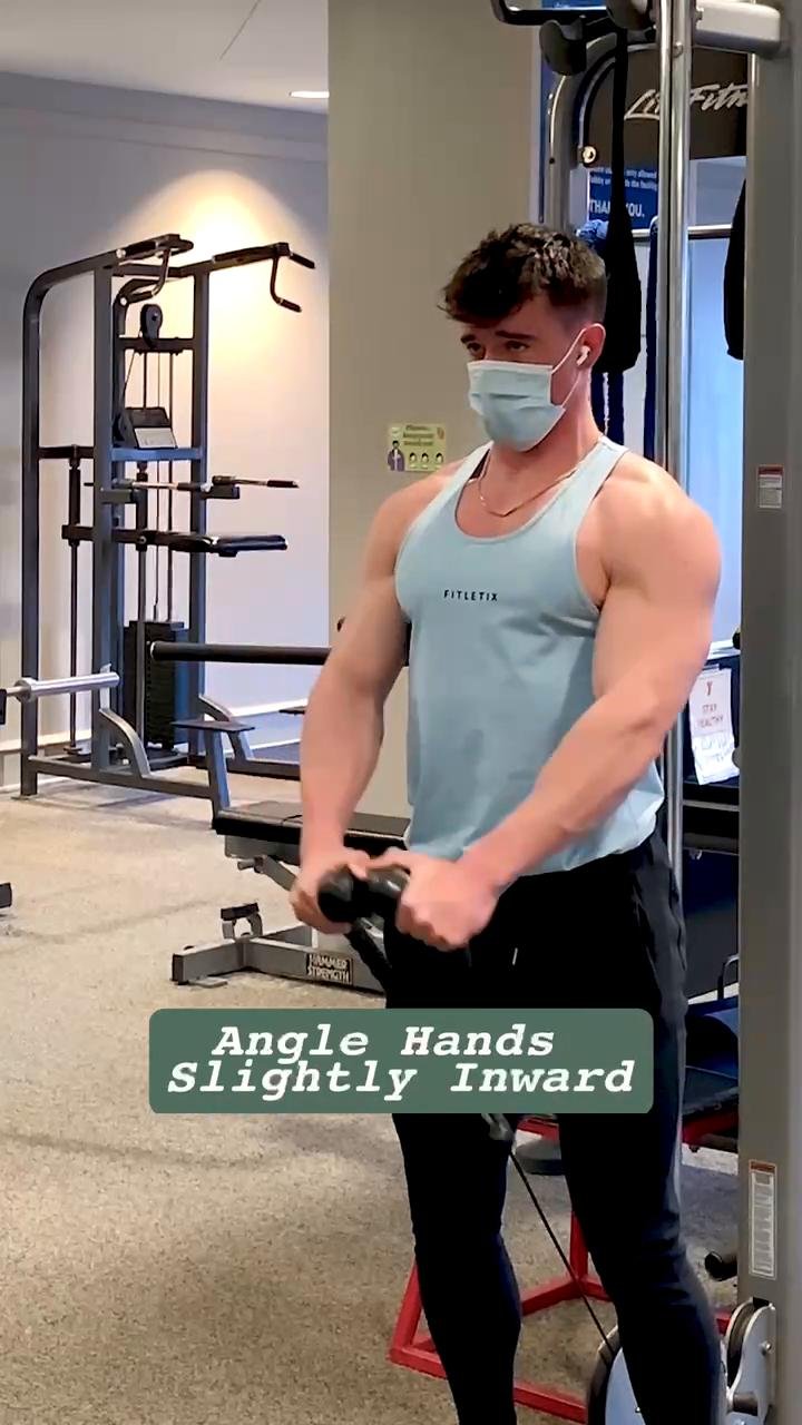 Arms & Shoulders