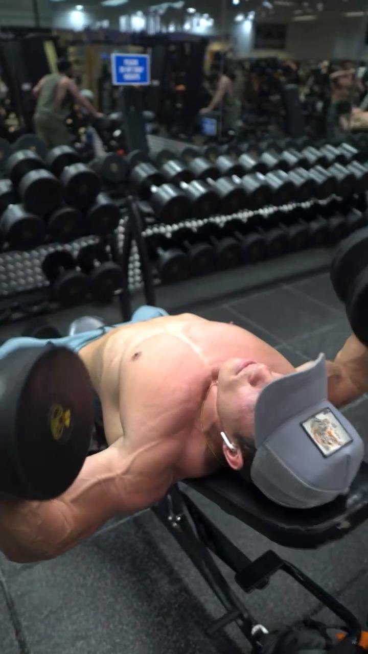 Chest