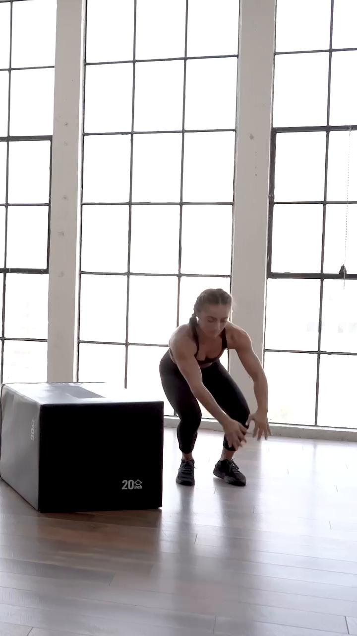 Full Body Circuits