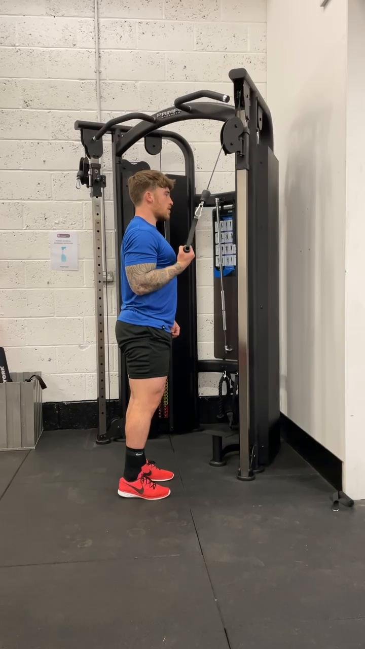 Chest and Triceps Gym Workout