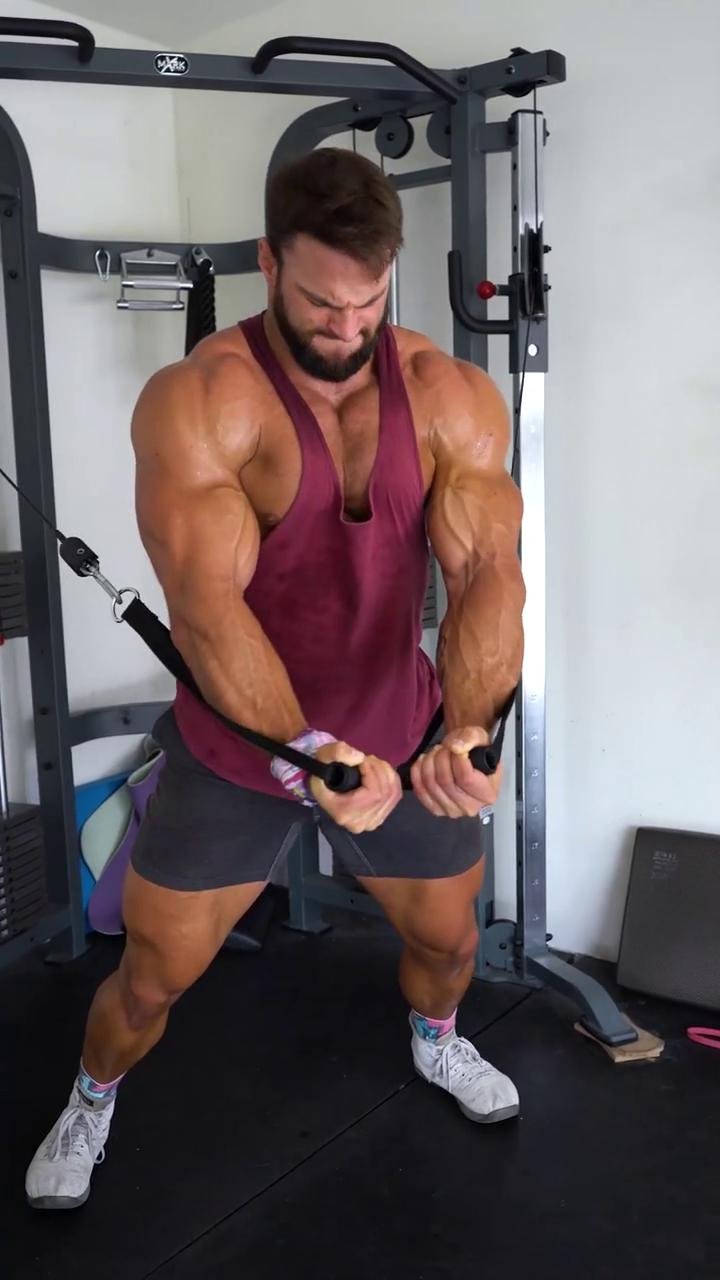 Chest/Triceps