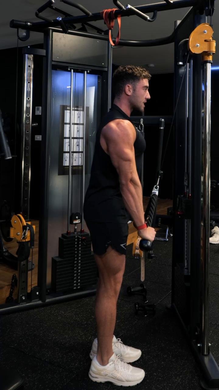 Push (Chest Focused) and Abs