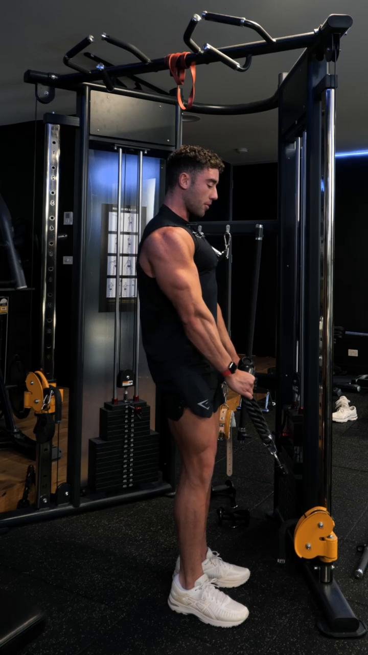 Arms (Triceps Focussed)