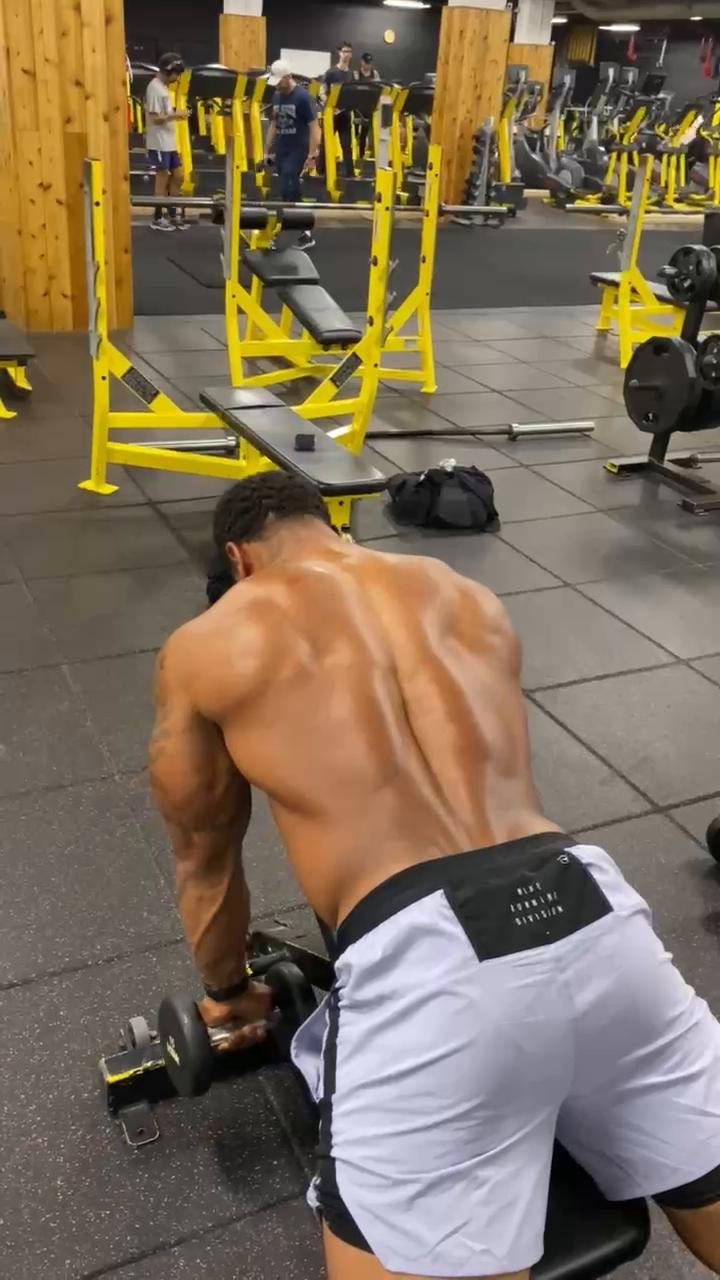Shoulders in New York
