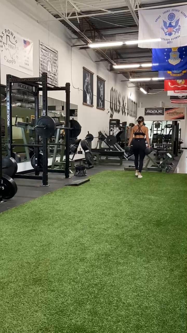 Biceps, triceps, core