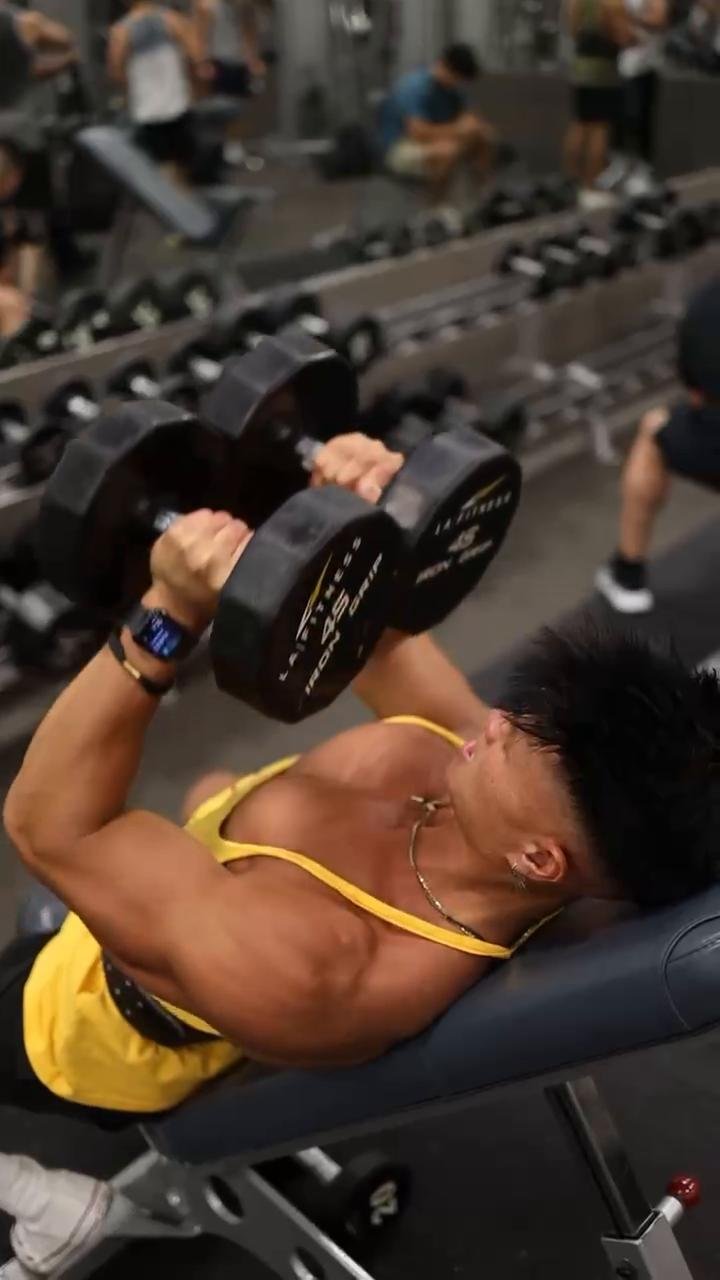 W1/3/5:D2 - CHEST & BACK