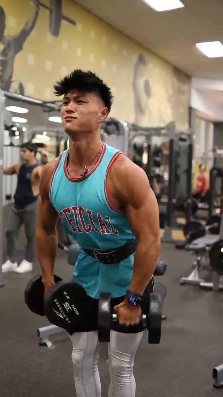 W1/3/5:D3 - SHOULDERS & ARMS