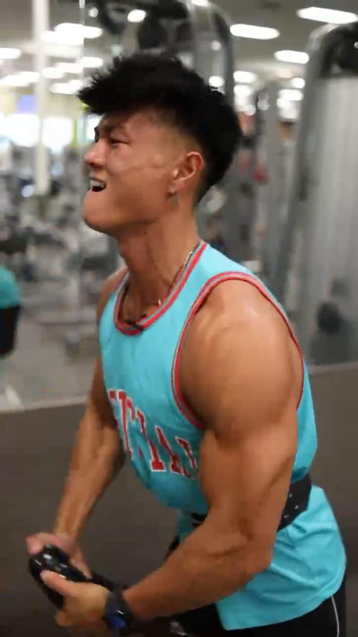 W1/3/5:D3 - SHOULDERS & ARMS