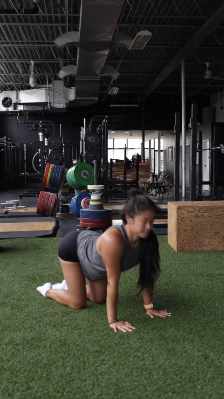 W2/D2